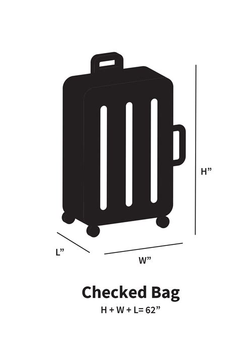 cost of checked bag on spirit